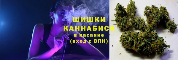 2c-b Верхний Тагил