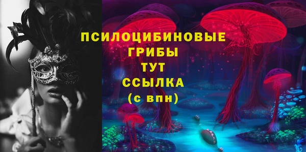 эйфоретик Верея