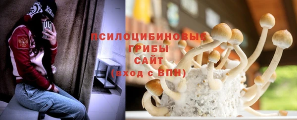 2c-b Верхний Тагил