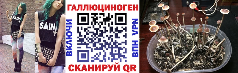 hydra онион  Тверь  Галлюциногенные грибы прущие грибы 